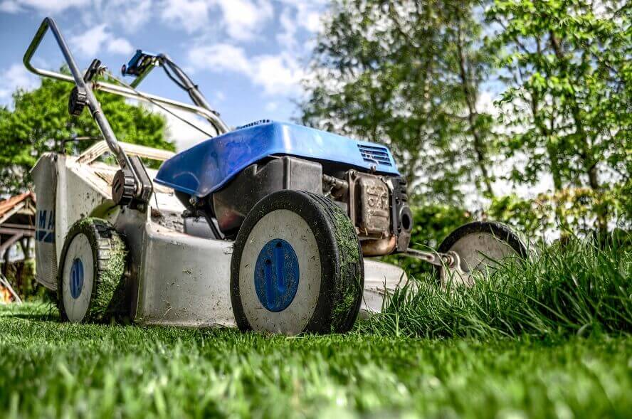 SafeStreets yard's maintenance