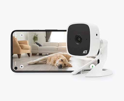 Indoor security camera